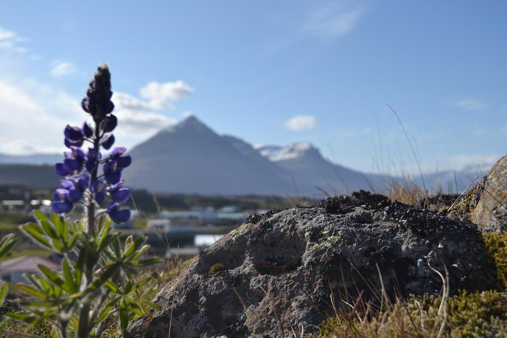 Framtid Hostel Djupivogur Bagian luar foto